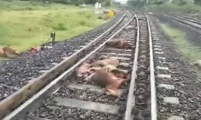 rail accident.jpeg